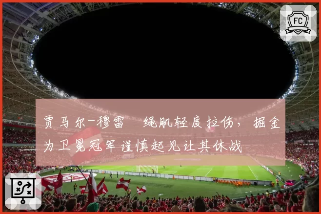 贾马尔-穆雷腘绳肌轻度拉伤,掘金为卫冕冠军谨慎起见让其休战