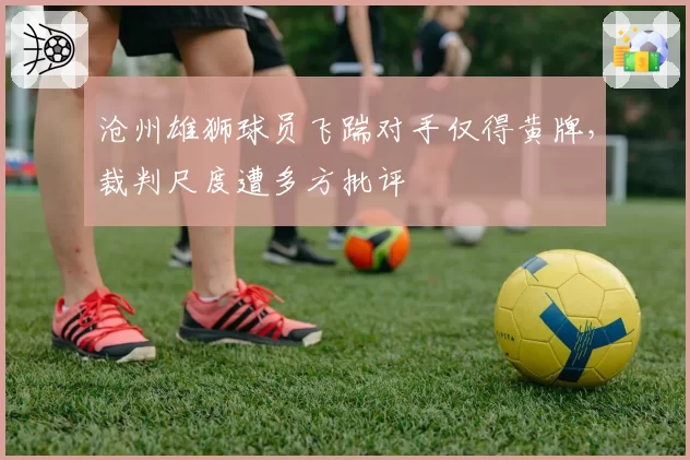 沧州雄狮球员飞踹对手仅得黄牌，裁判尺度遭多方批评