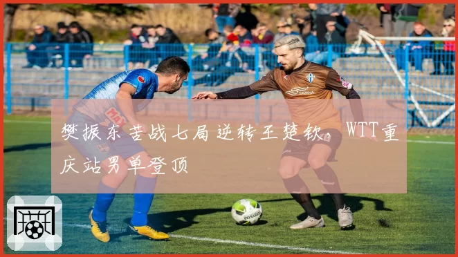 樊振东苦战七局逆转王楚钦，WTT重庆站男单登顶