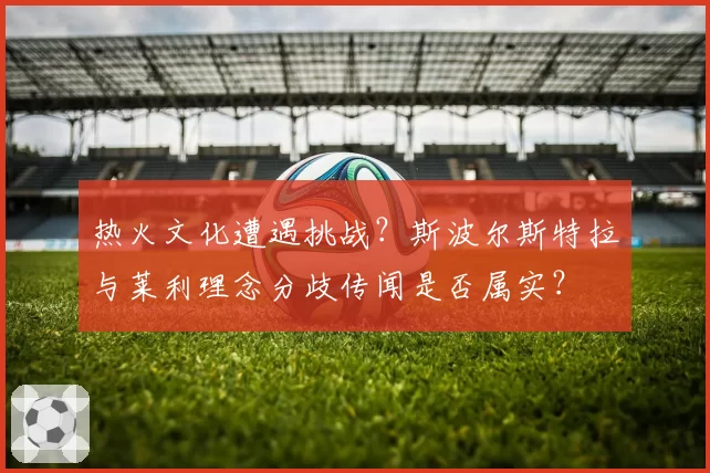 热火文化遭遇挑战？斯波尔斯特拉与莱利理念分歧传闻是否属实？