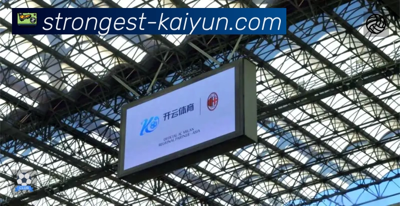 开云站内搜索增强